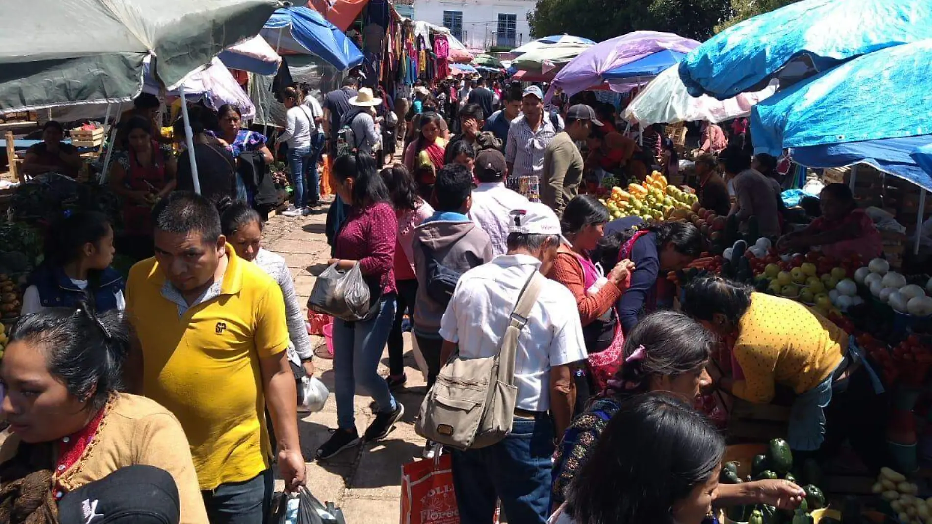 mercado sanitización locatarios